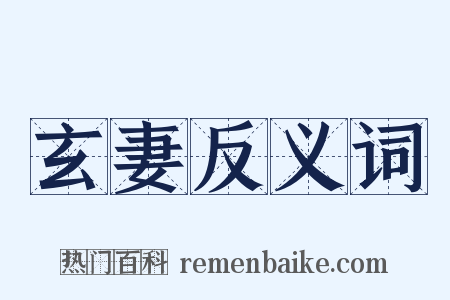 玄妻反义词是什么意思的图片